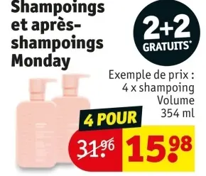 Offre: Shampoings et après-shampoings