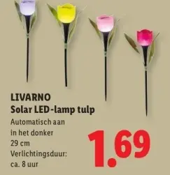 Aanbieding: Solar LED-lamp tulp