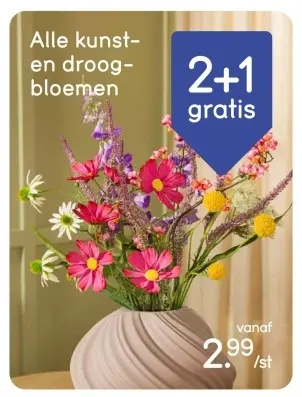 Aanbieding: Kunst- en droogbloemen
