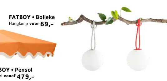 Promotie: Bolleke