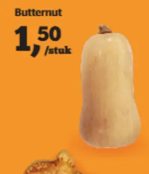 Aanbieding: Butternut