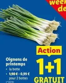 Offre: Oignons de printemps