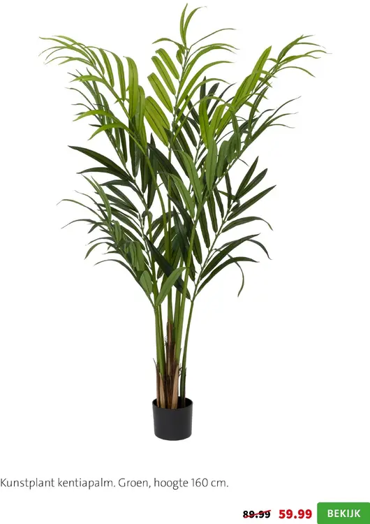 Aanbieding: Kunstplant kentiapalm
