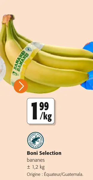 Offre: bananes