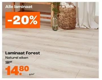 Aanbieding: Laminaat Forest