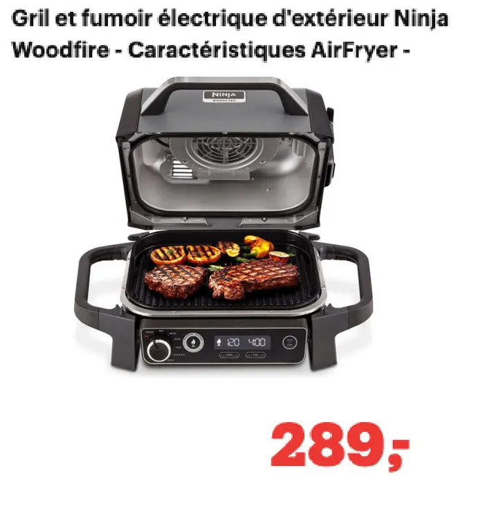 Offre: Gril et fumoir électrique d'extérieur Woodfire