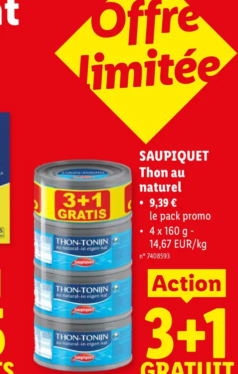 Offre: Thon au naturel