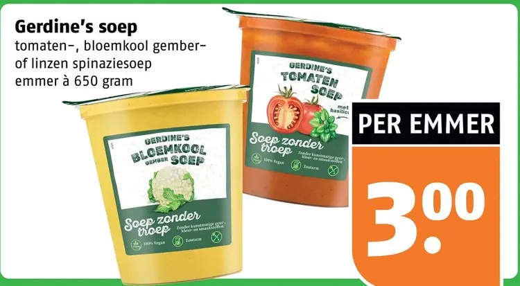 Aanbieding: Gerdine's soep