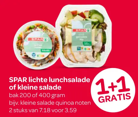 Aanbieding: lichte lunchsalade of kleine salade
