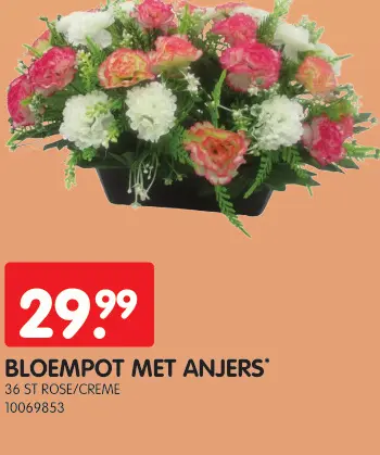 Promotie: Bloempot met anjers
