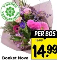 Aanbieding: Boeket Nova