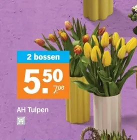 Aanbieding: Tulpen
