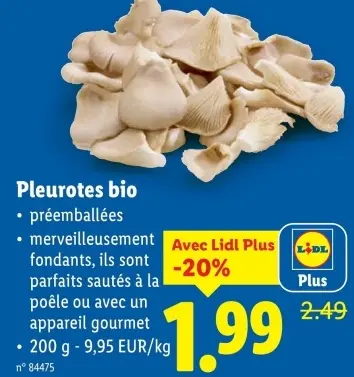 Offre: Pleurotes bio