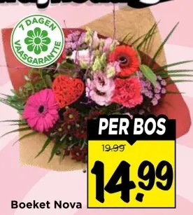 Aanbieding: Boeket Nova