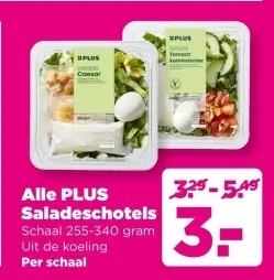 Aanbieding: Saladeschotels