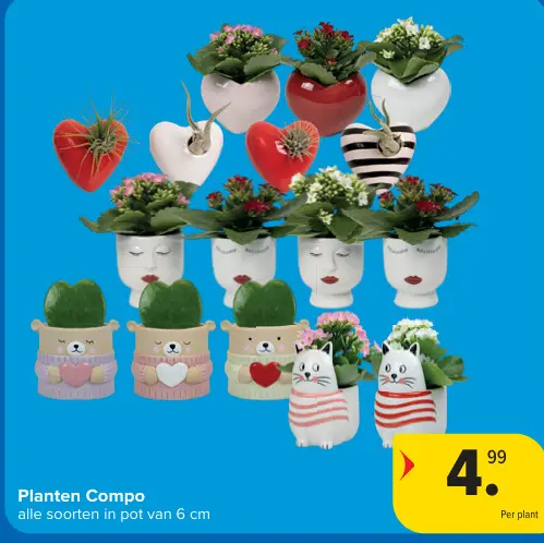 Promotie: Planten Compo