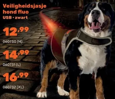 Promotie: Veiligheidsjasje hond fluo USB