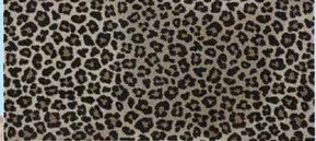 Aanbieding: Deurmat Rossie