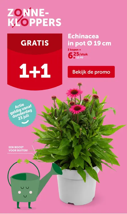 Promotie: Echinacea