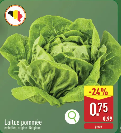 Offre: Laitue pommée