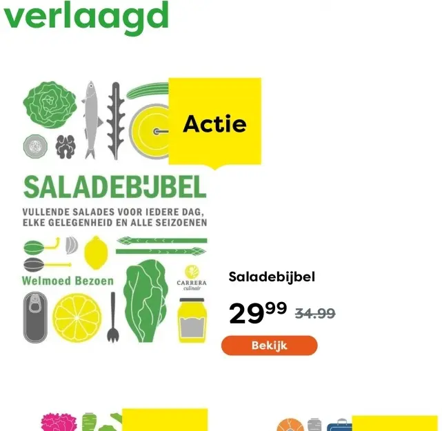 Aanbieding: Saladebijbel