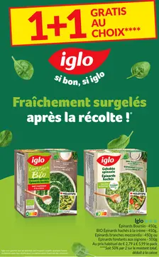 Offre: Iglo Épinards