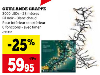 Offre: GUIRLANDE GRAPPE