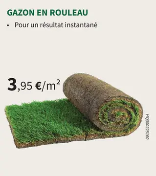 Offre: Gazon en rouleau