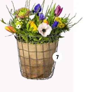 Aanbieding: Arrangement boeket in draadmand