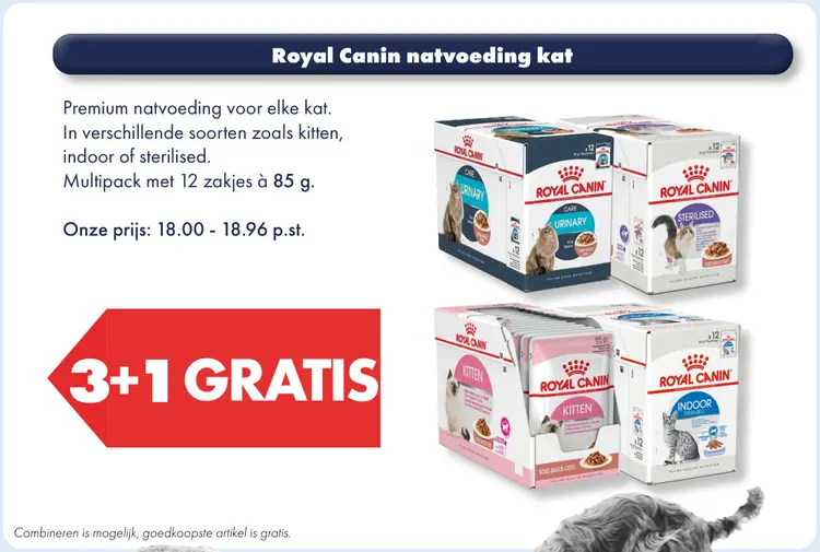 Aanbieding: natvoeding kat