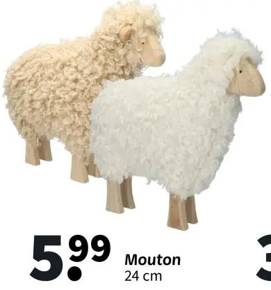 Offre: Mouton