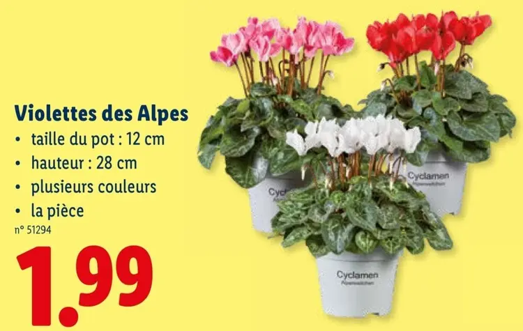 Offre: Violettes des Alpes