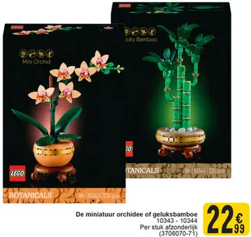 Aanbieding: De miniatuur orchidee of geluksbamboe