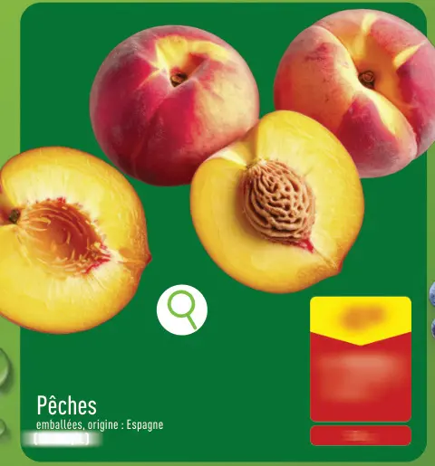 Offre: Pêches