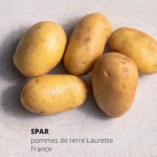 Offre: pommes de terre Laurette