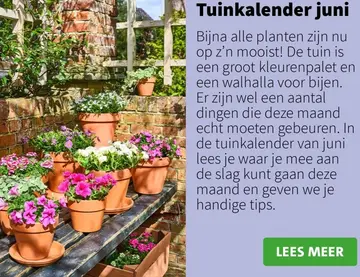 Aanbieding: Tuinkalender juni