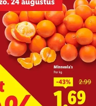 Aanbieding: Minneola's
