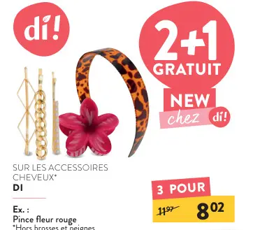 Offre: Accessoires Cheveux