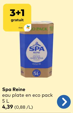 Offre: Spa Reine