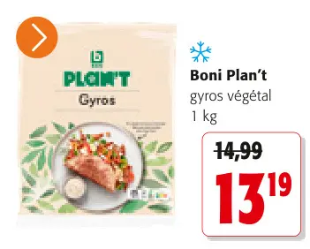 Offre: Gyros végétal