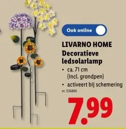 Promotie: Decoratieve ledsolarlamp