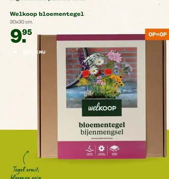 Aanbieding: Welkoop bloementegel