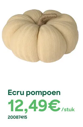 Aanbieding: Ecru pompoen
