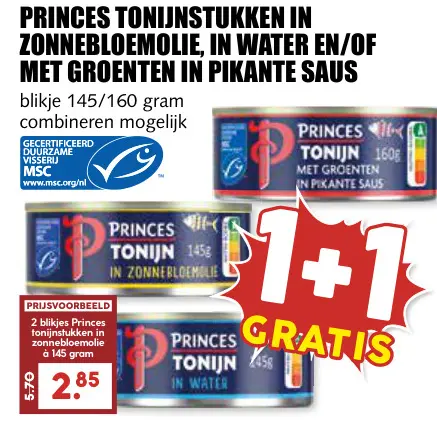 Aanbieding: Tonijnstukken