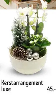 Promotie: Kerstarrangement luxe