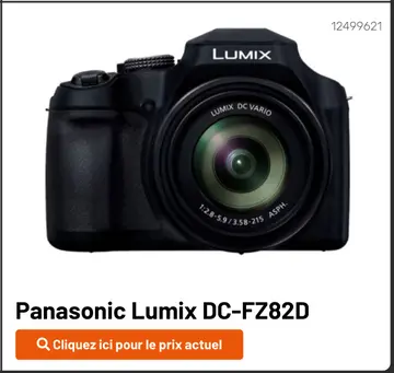 Offre: Panasonic Lumix DC-FZ82D