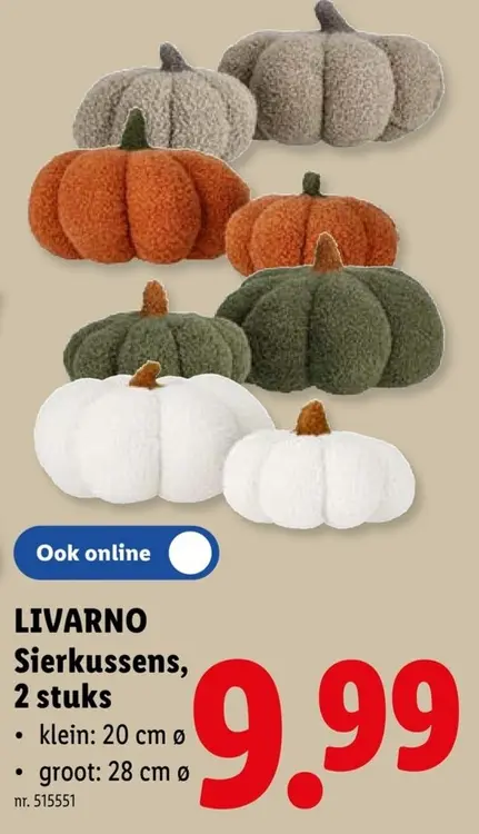 Promotie: LIVARNO Sierkussens
