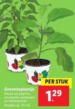 Aanbieding: Groenteplantje