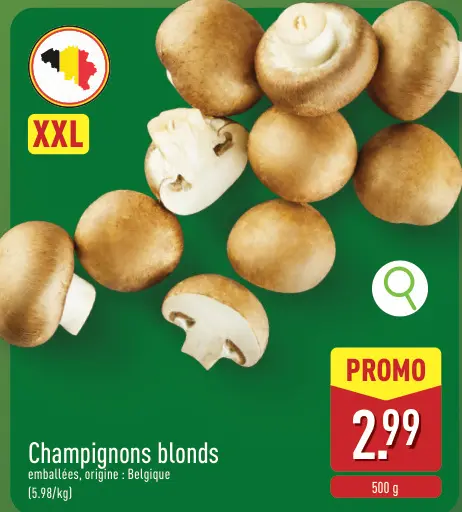 Offre: Champignons blonds