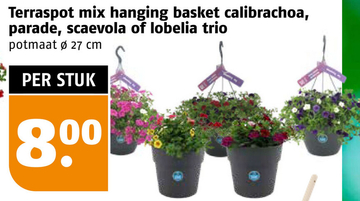Aanbieding: Terraspot mix hanging basket calibrachoa parade scaevola of lobelia trio